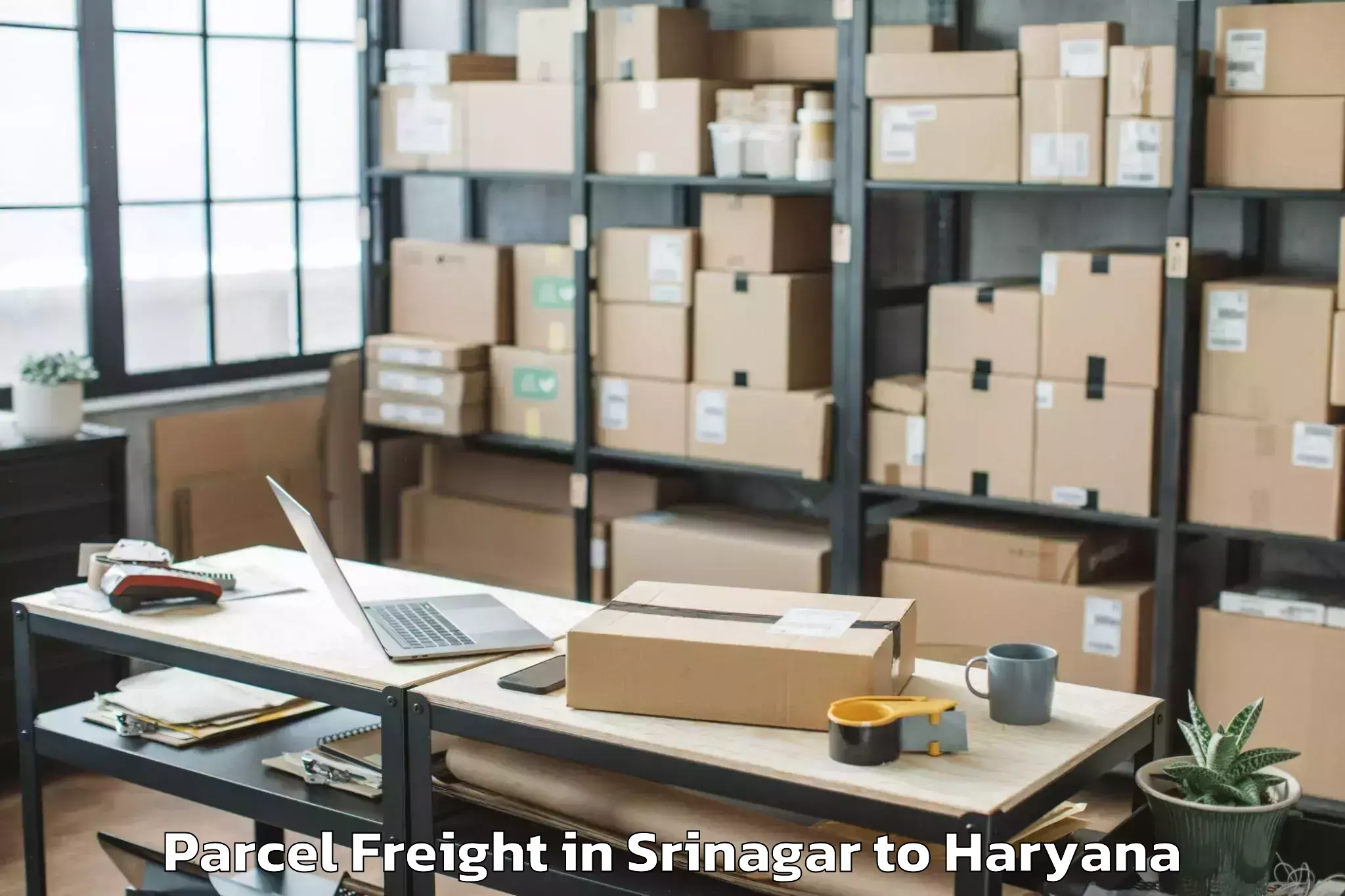 Srinagar to Samalkha Parcel Freight Booking